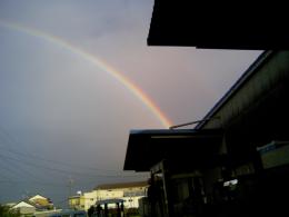 Rainbow